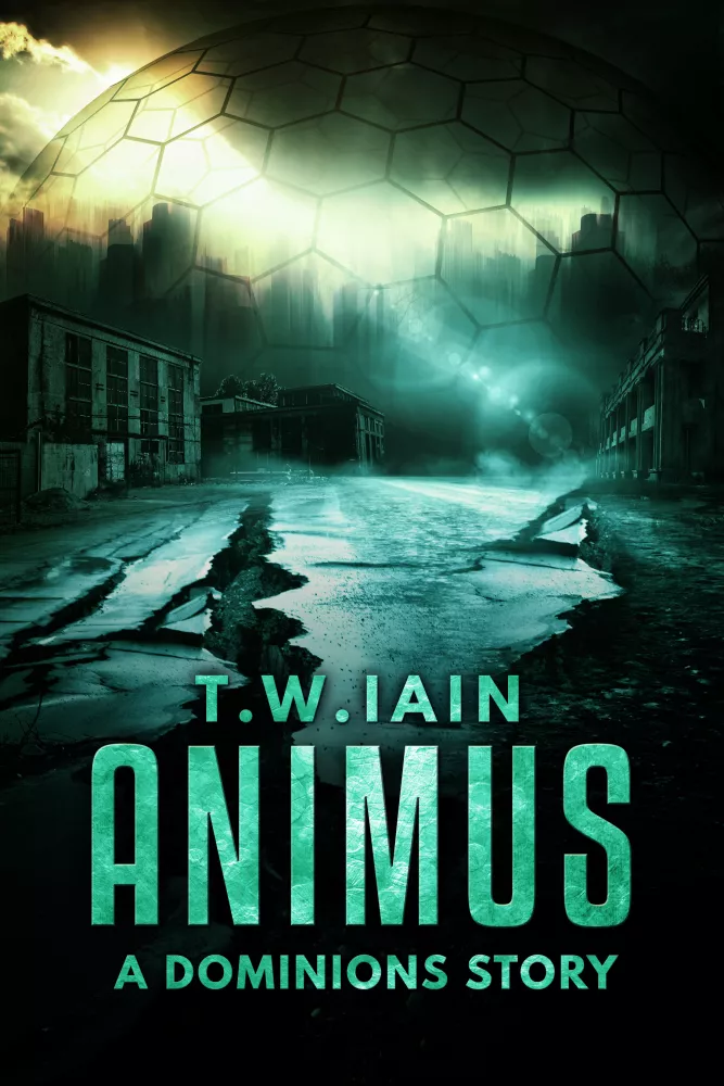 Animus borító