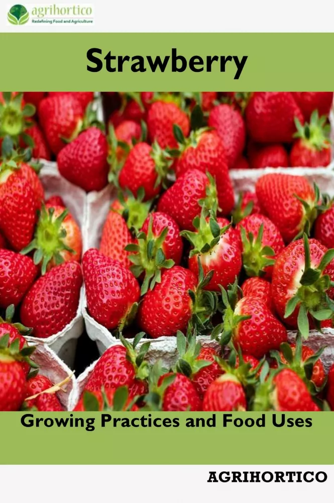 Strawberry borító