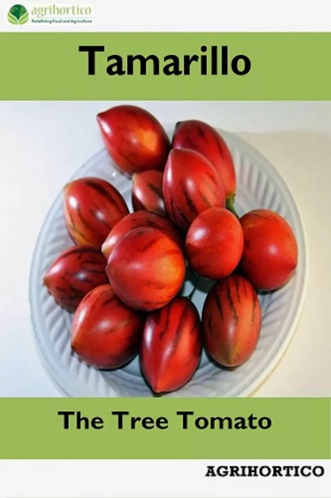 Tamarillo borító