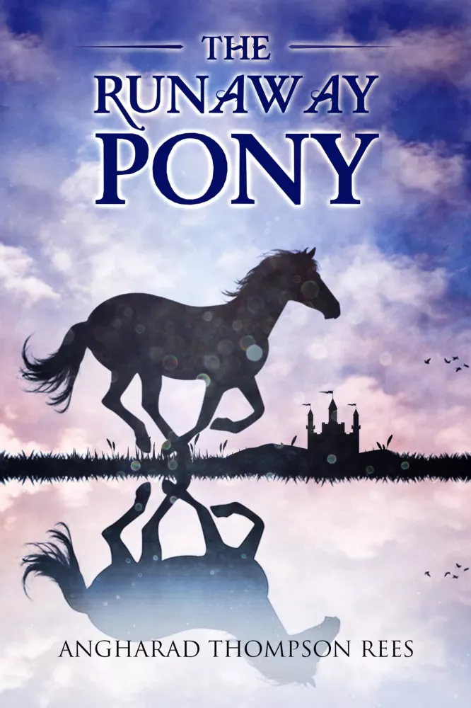 The Runaway Pony borító