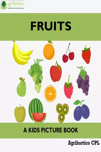 Fruits borító