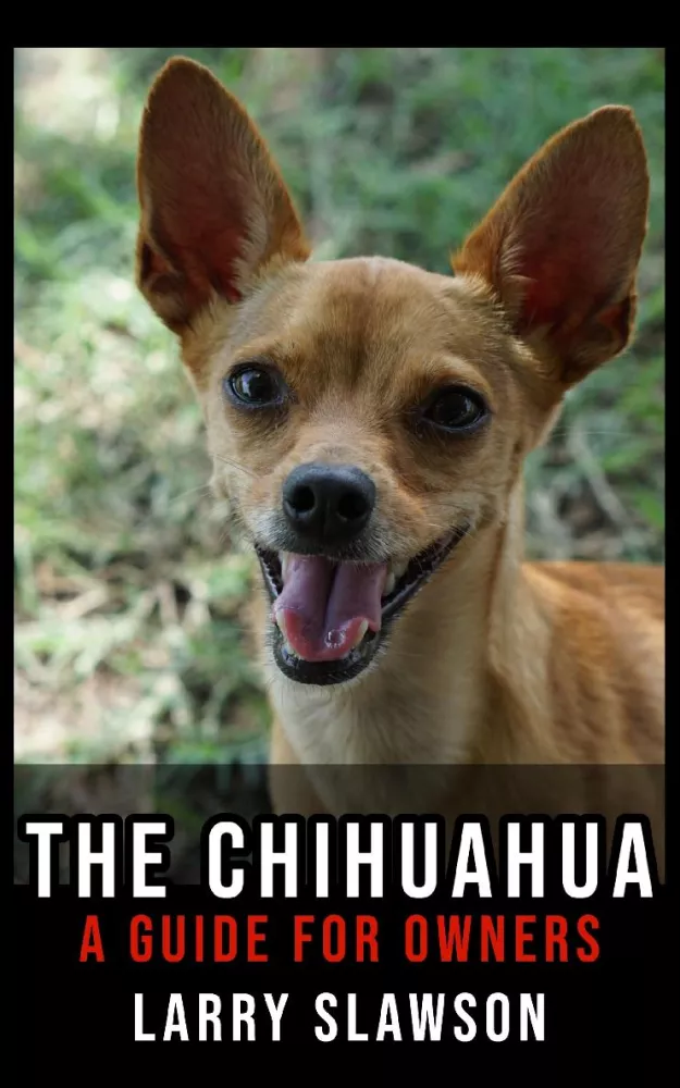 The Chihuahua borító