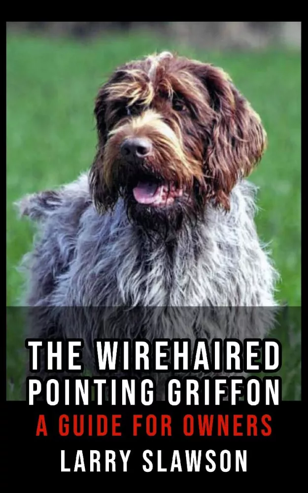 The Wirehaired Pointing Griffon borító