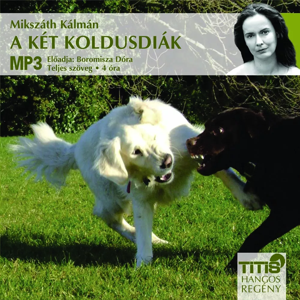 A két koldusdiák borító