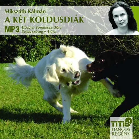 A két koldusdiák borító
