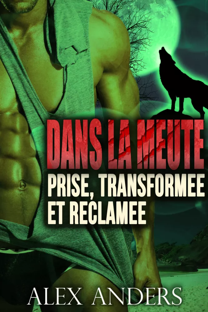 Prise, transformée et réclamée borító