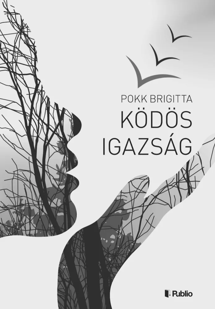 Ködös igazság borító