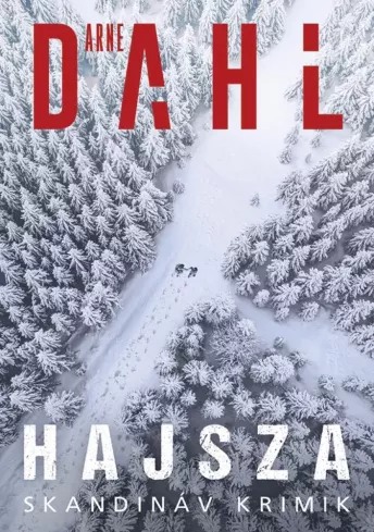 Hajsza borító