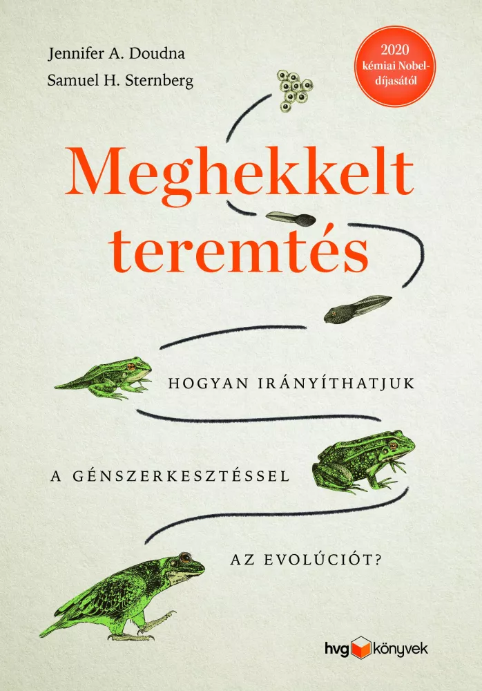 Meghekkelt teremtés borító