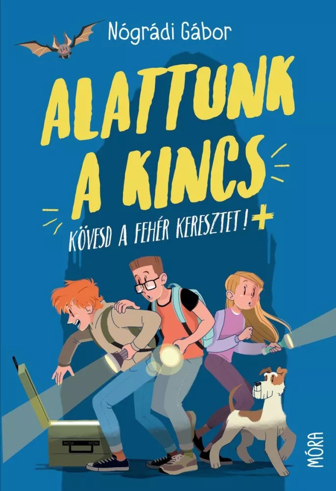 Alattunk a kincs borító