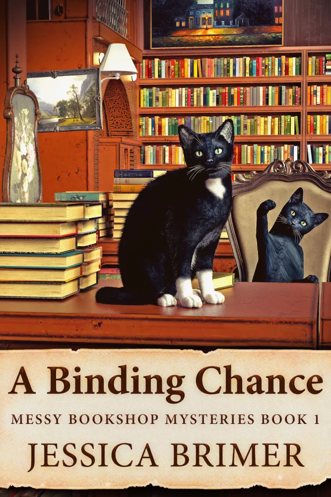 A Binding Chance borító