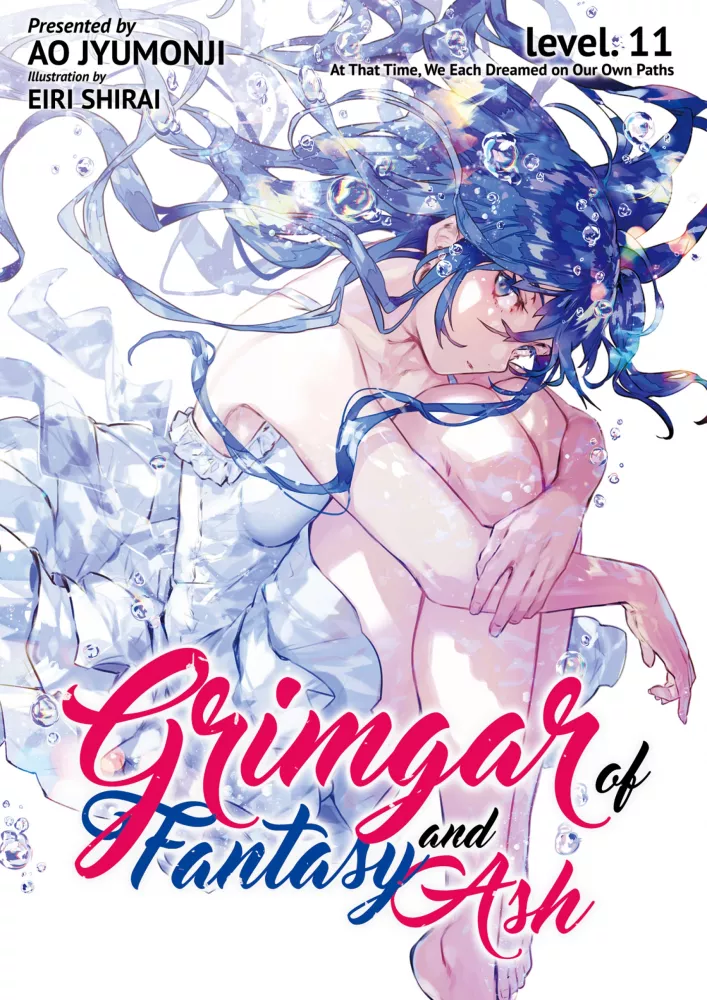 Grimgar of Fantasy and Ash: Volume 11 borító