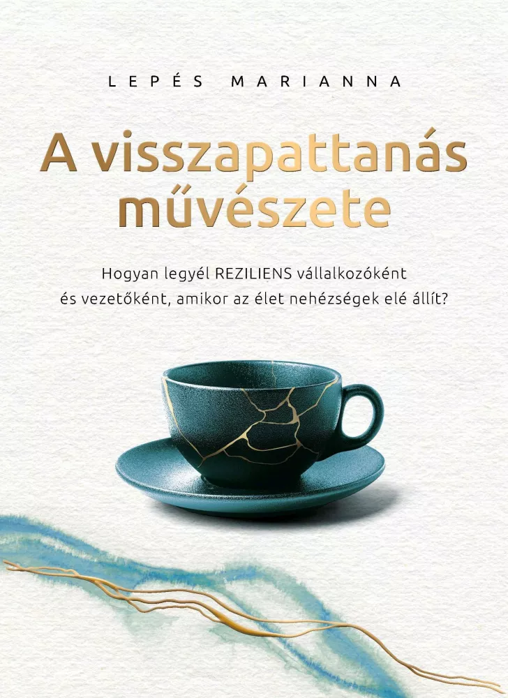 A visszapattanás művészete borító