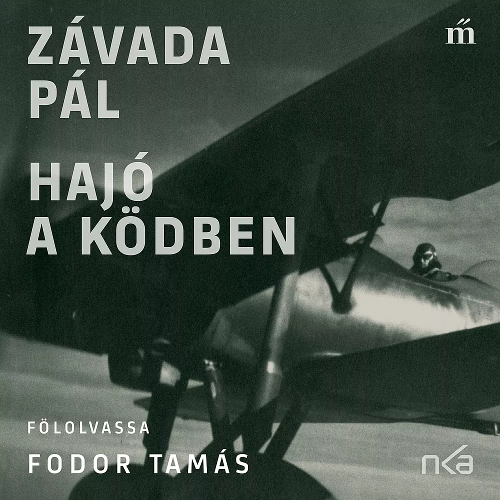 Hajó a ködben borító