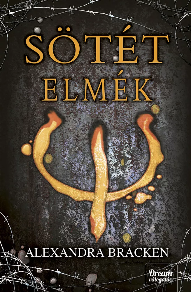 Sötét elmék borító