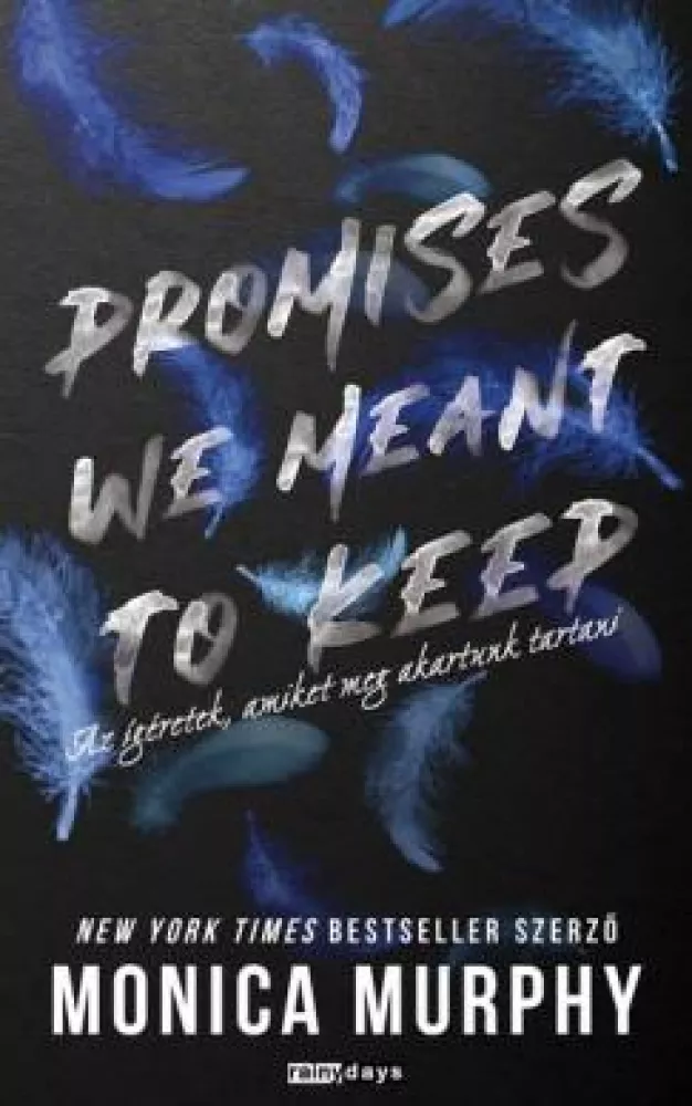 Promises We  Meant To Keep borító