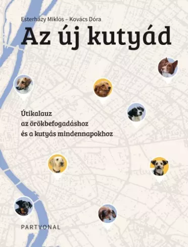 Az új kutyád  borító