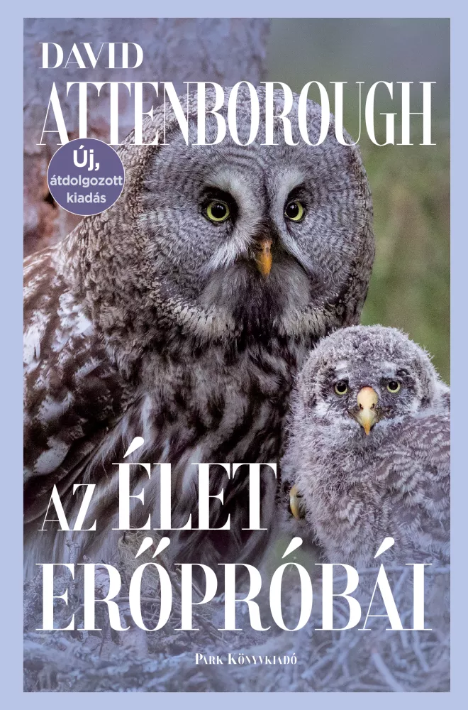 Az élet erőpróbái borító