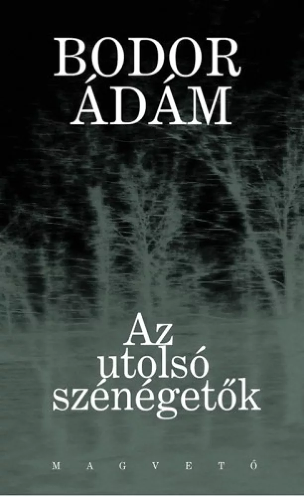 Az utolsó szénégetők borító