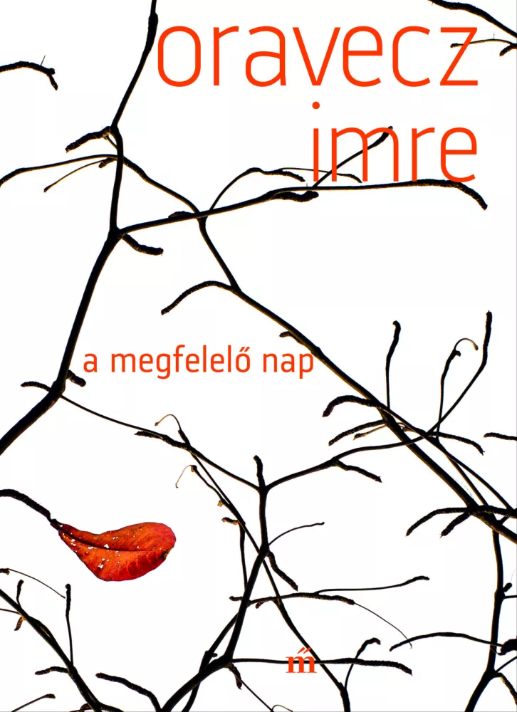 A megfelelő nap borító