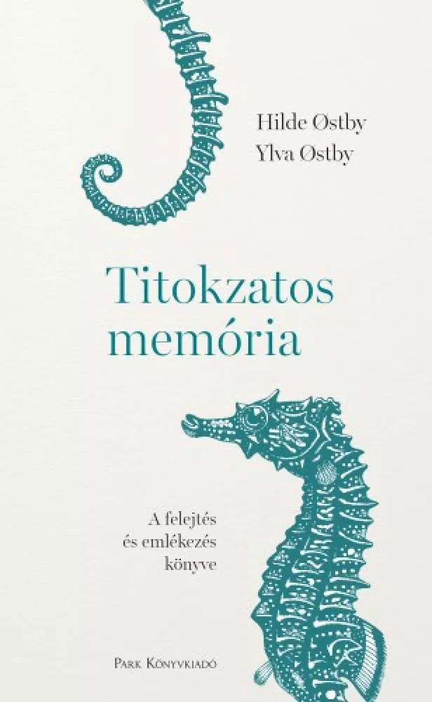 Titokzatos memória  borító