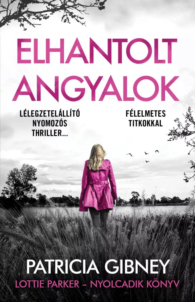 Elhantolt angyalok borító