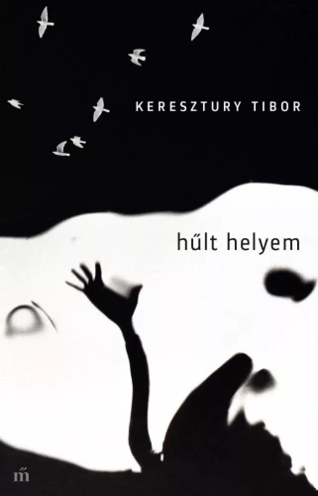 Hűlt helyem borító
