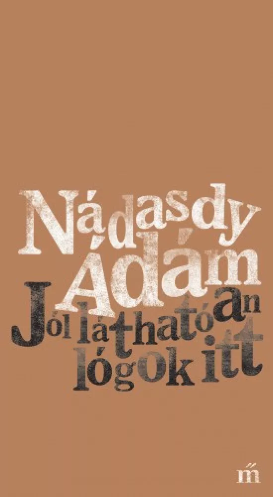 Jól láthatóan lógok itt borító