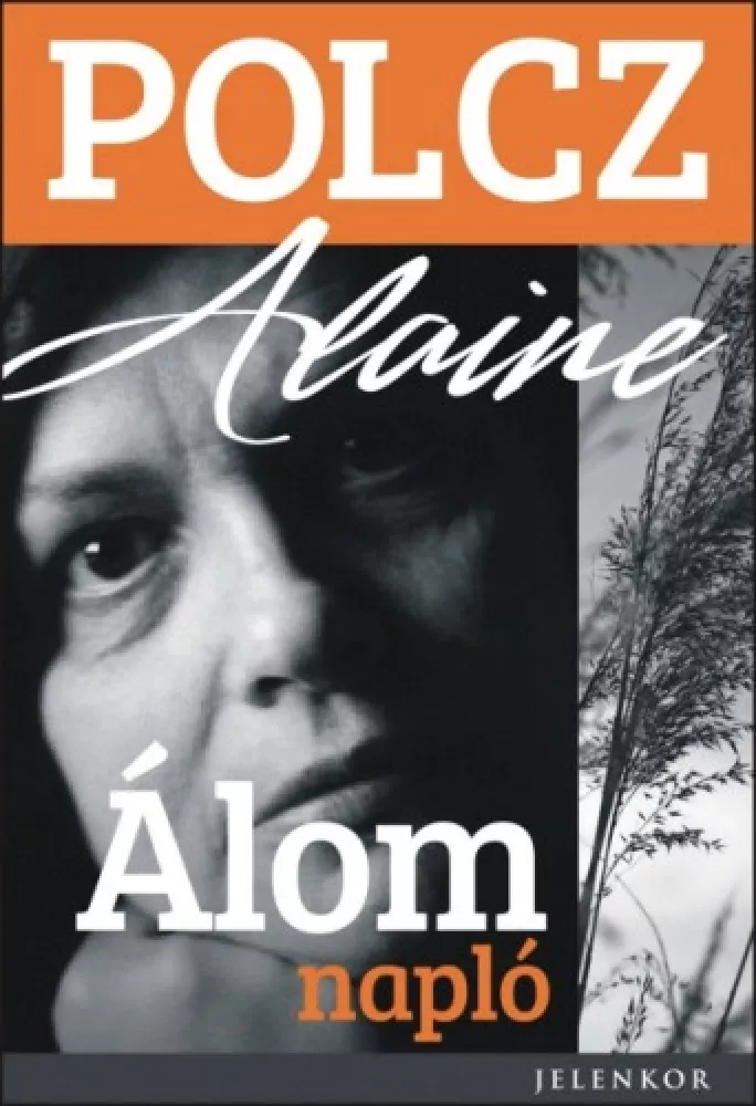 Álomnapló borító