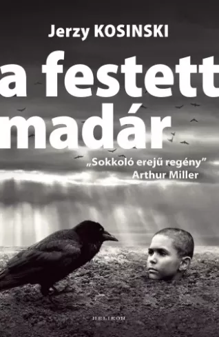 A festett madár borító