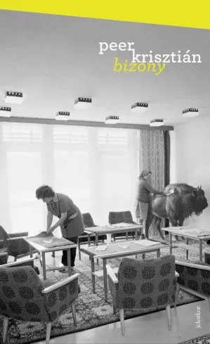 Bizony borító