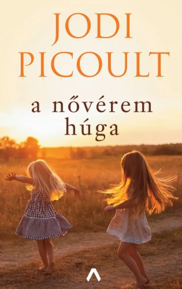 A nővérem húga borító