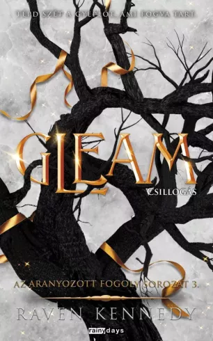 Gleam - Csillogás borító