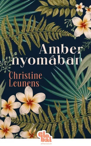 Amber nyomában borító