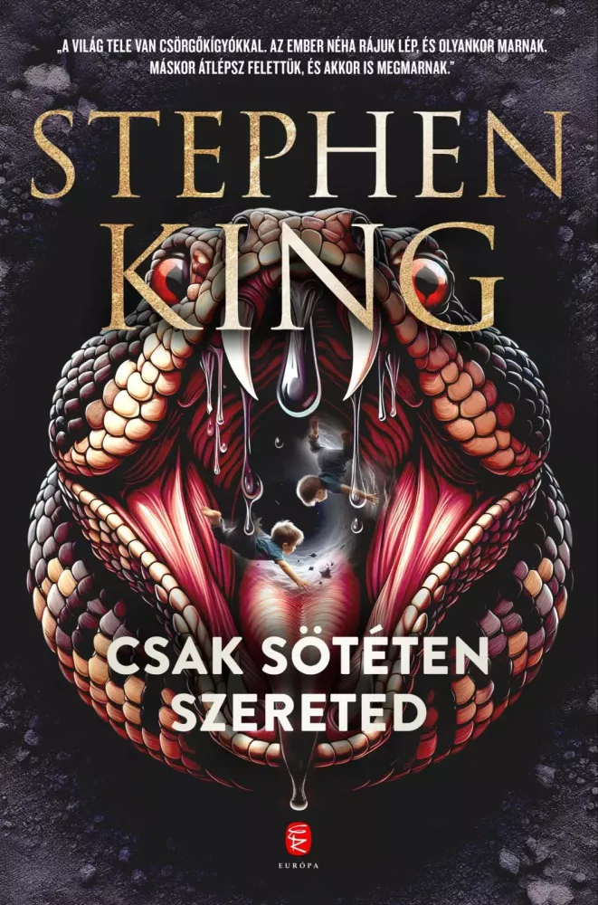 Csak sötéten szereted borító