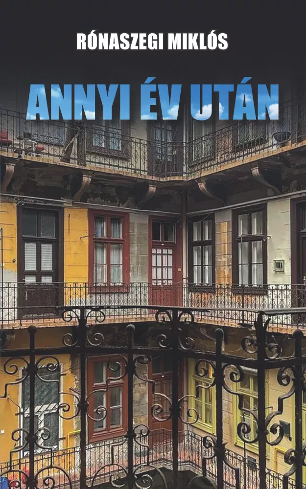 Annyi év után borító