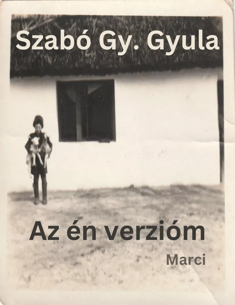 Az én verzióm borító
