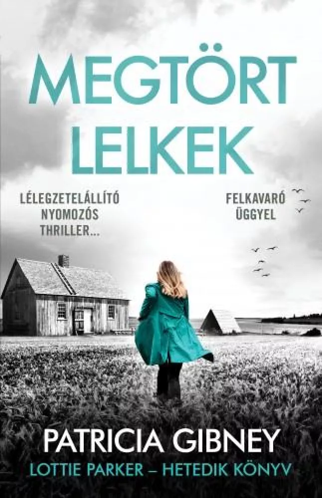 Megtört lelkek borító