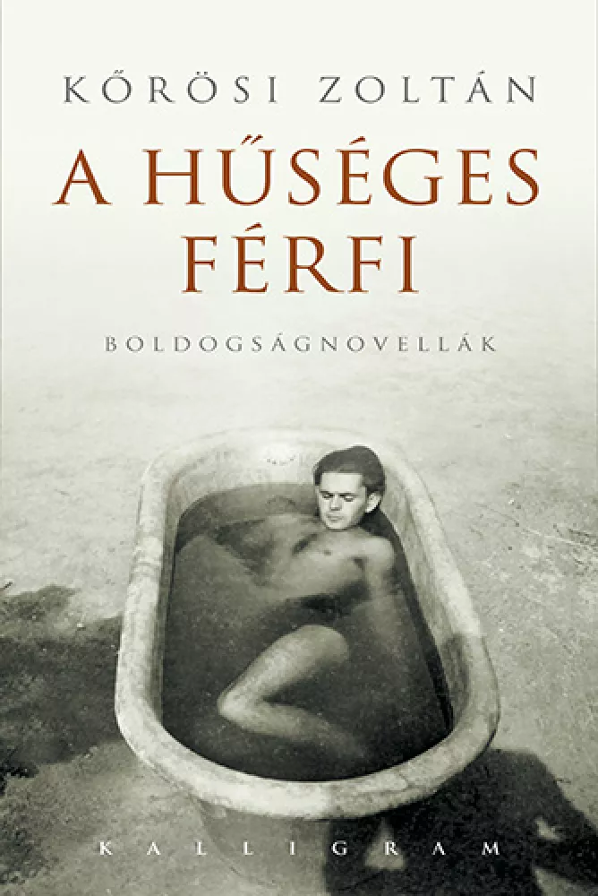 A hűséges férfi borító