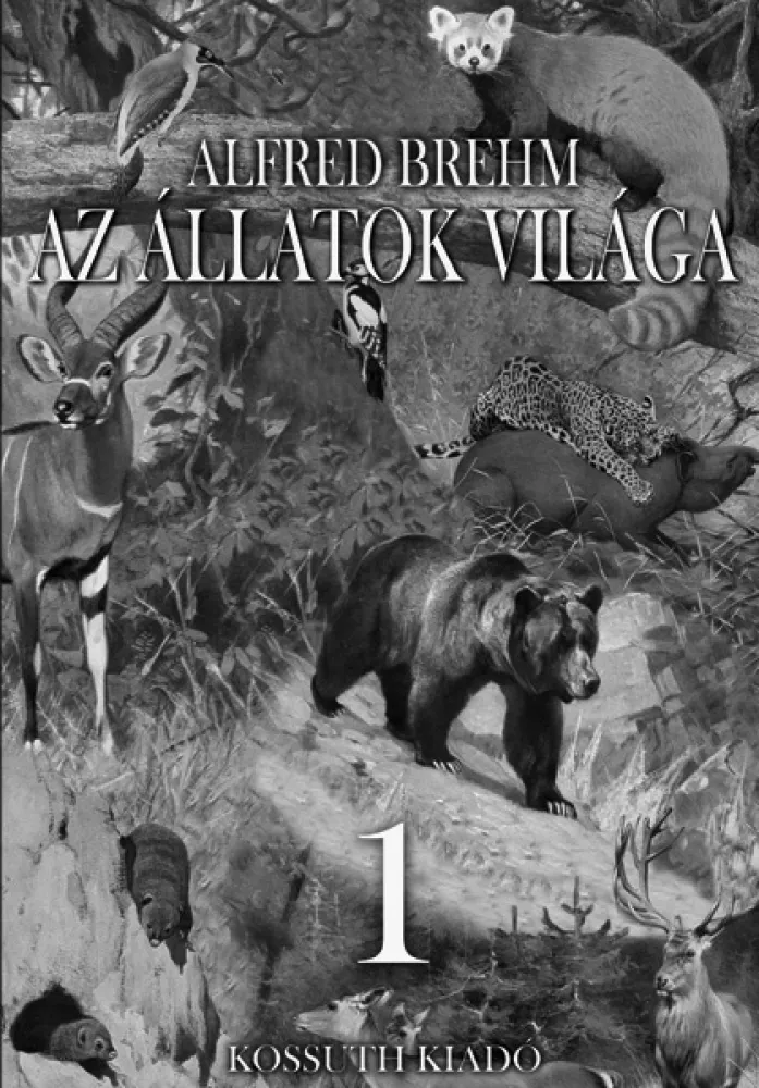 Az állatok világa 1. kötet borító