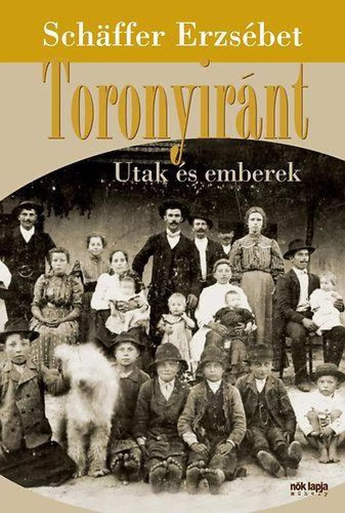 Toronyiránt borító