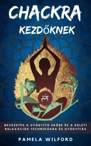 Csakrák kezdőknek